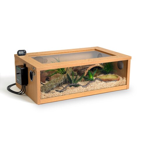 Terrainium Hatchling Snake Set Up